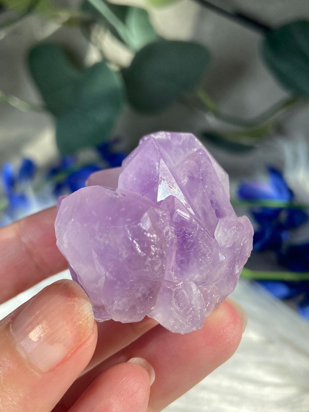 Edelsteine: Amethyst Flower Points – Neu (gemäss Beschreibung) aus Neuheim von m.hald 4