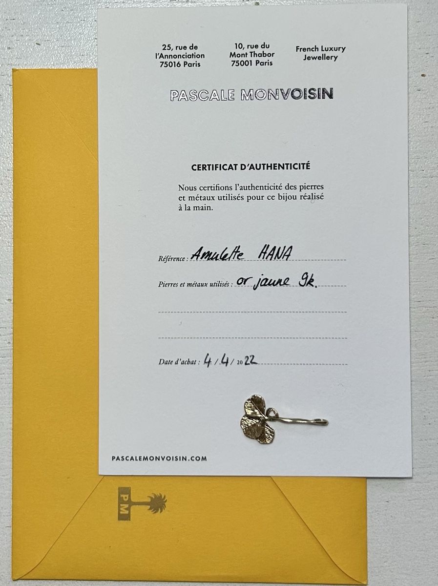 Ciondoli: Pendentif Pascale Monvoisin  – Nuovo (secondo la descrizione) da Rossens FR venduto da Gat0205 2