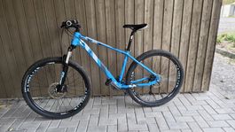 Mountainbike Pegasus top Zustand