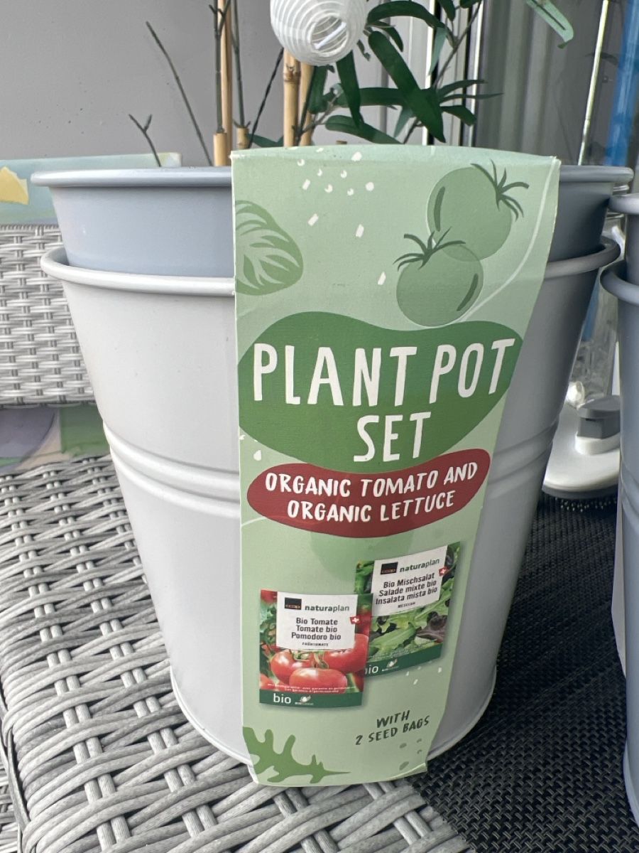Vasi per fiori: Pflanztopf-Set 3x 2 Töpfe  – Usato da Rheinfelden venduto da kitty69 3