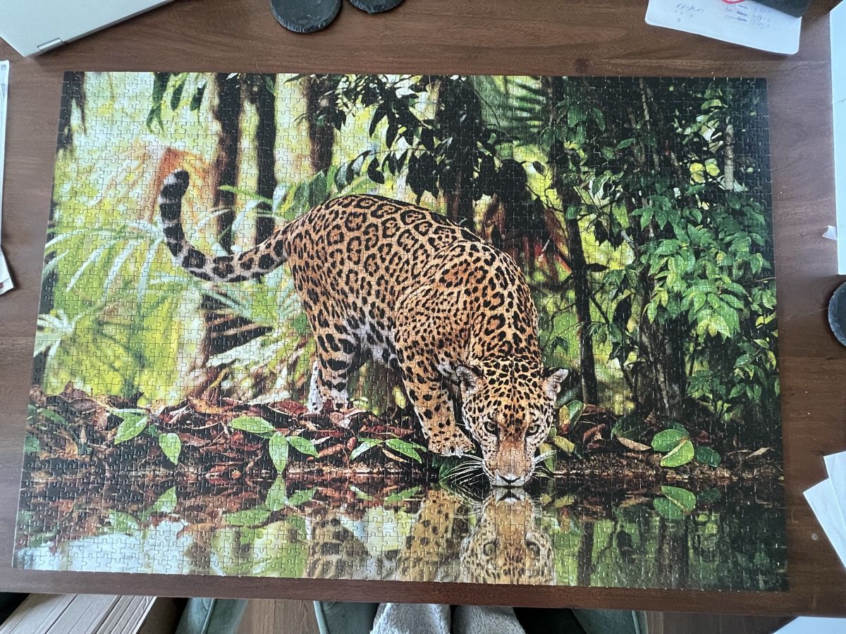 Clementoni Puzzle: Jaguar Puzzle, 2000 Teile – Usato da Lostorf venduto da Inga_r 1