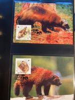 Russland 2004 WWF Vielfrass Maximumkarten