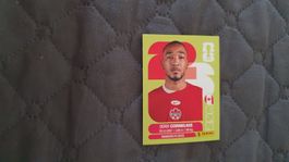 Panini WM 2026 - CAN 7