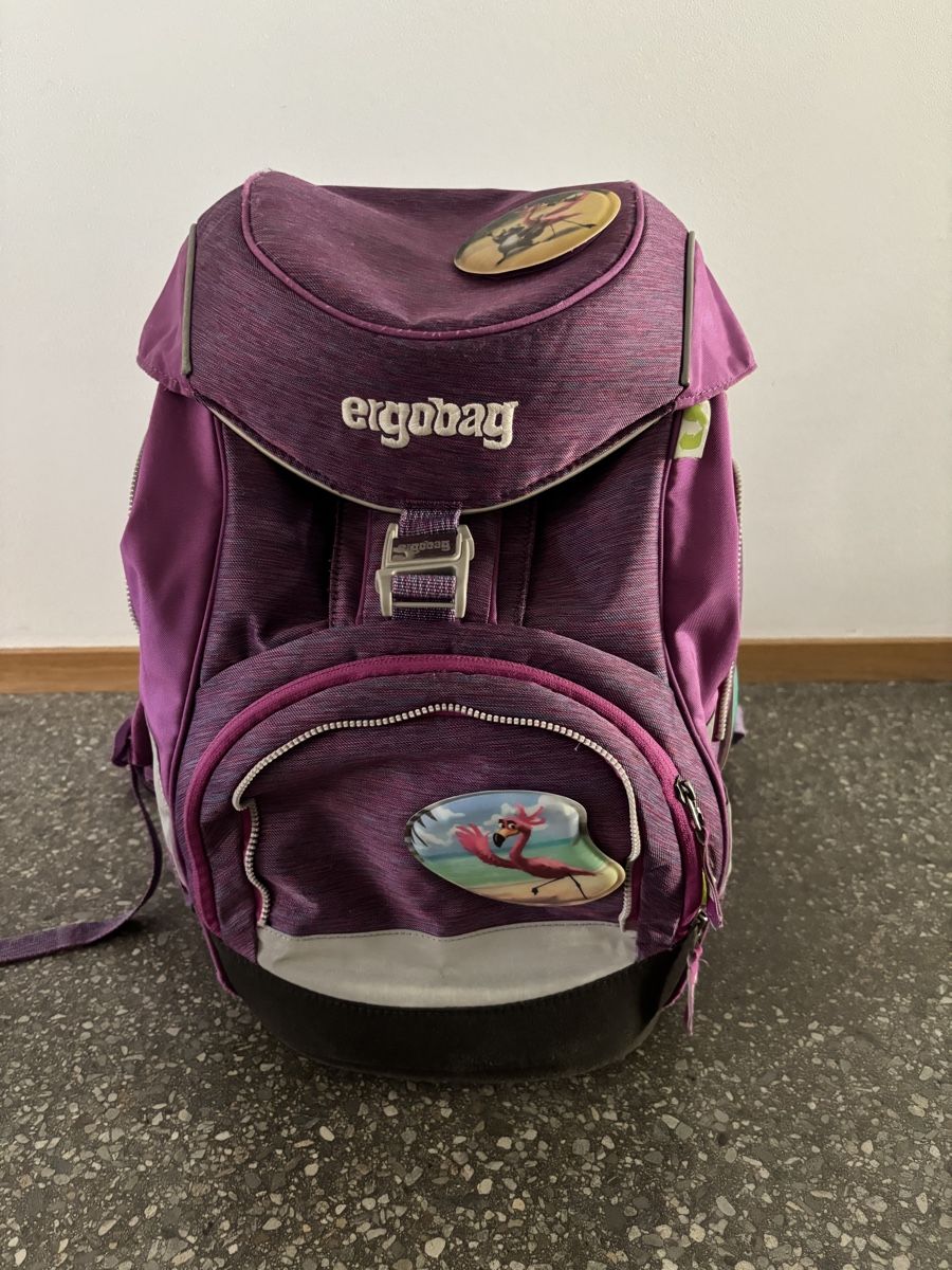 Ergobag Borse & Zaini: Ergobag Schulrucksack – Usato da Chur venduto da vespa-66