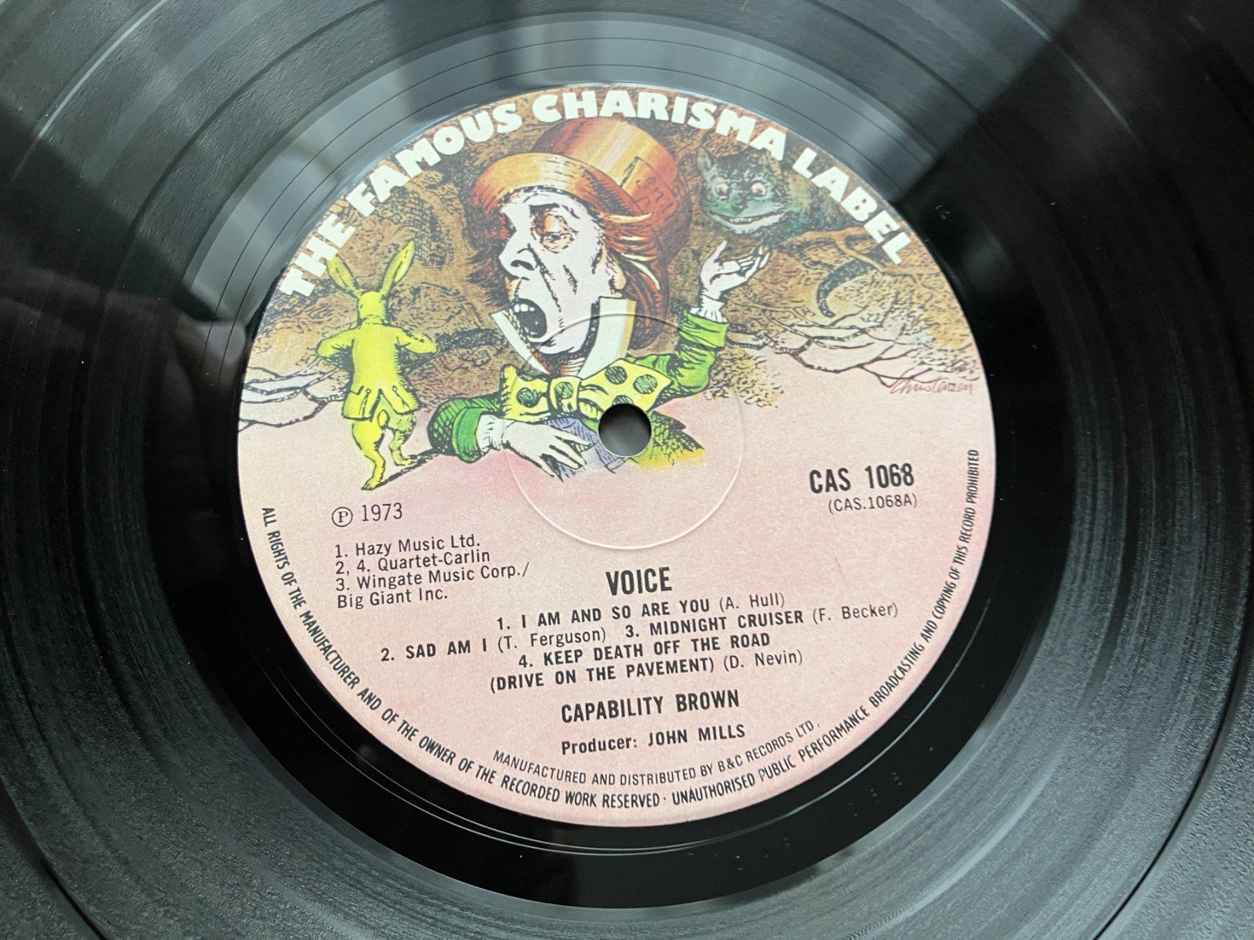Dischi in vinile: Capability Brown – Usato da Aarwangen venduto da Jukebox3 5