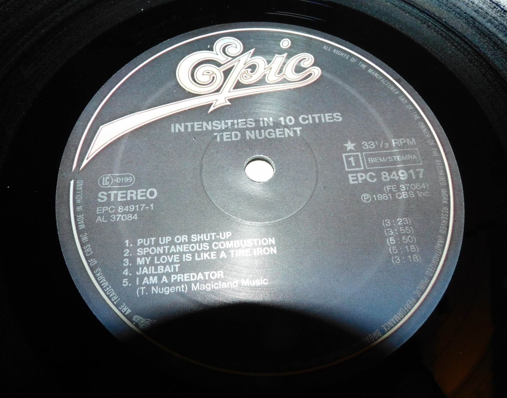 Dischi in vinile: Lp - 1981 Ted Nugent - Schallplatte   Lp – Usato da Sursee venduto da 76 1