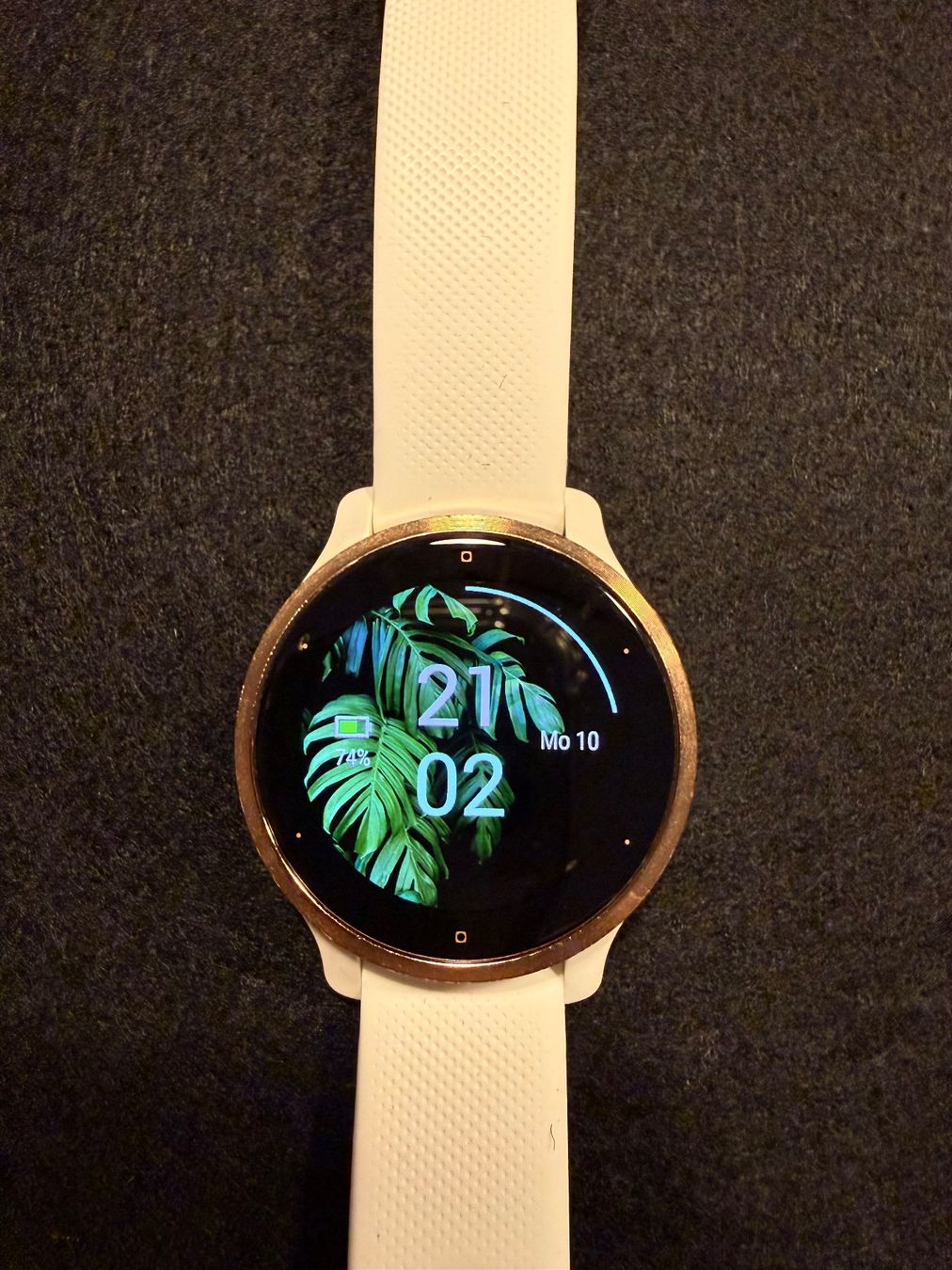 Garmin Smartwatch: GARMIN VENU 2S – D'occasion à Rapperswil SG par Neseni 6