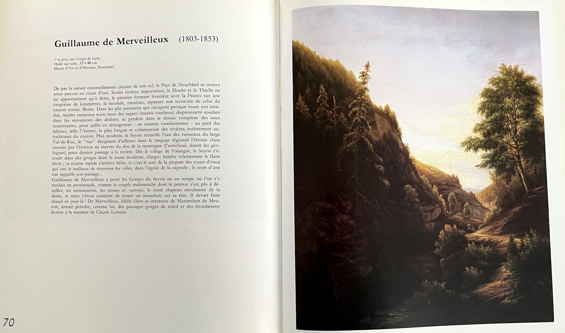 Libri: Neuchâtel vu par les peintres – Usato da Savagnier venduto da Ne2065 3