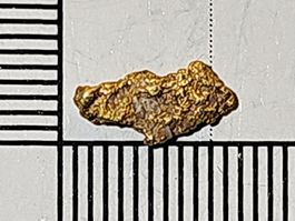 Natürliches schweizer Gold Nugget