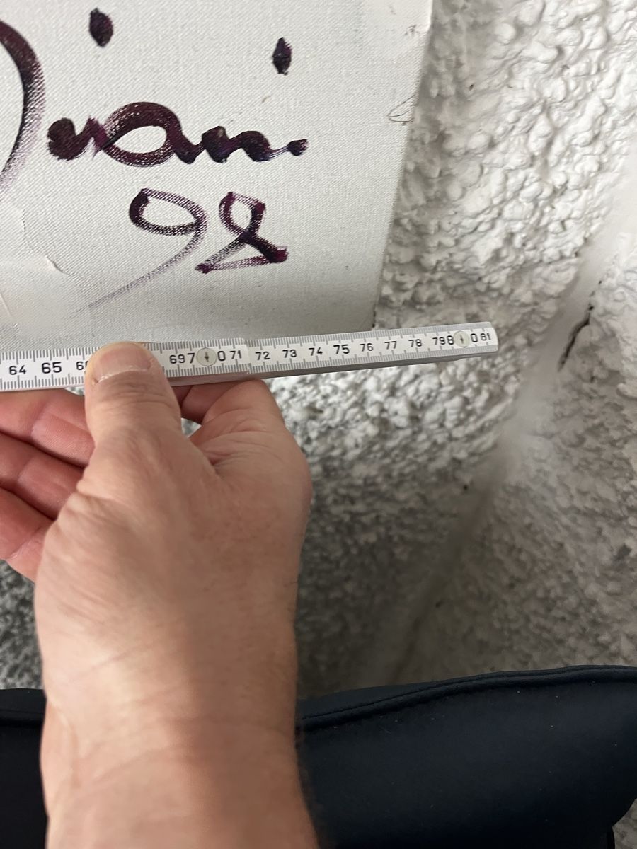 Gemälde: Akt von Giani Castiglioni – Gebraucht aus Neerach von fuz_8d7l 4