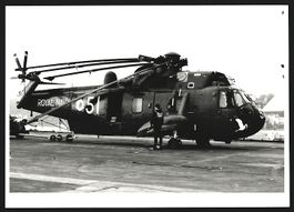 Fotografie Hubschrauber Westland Sea Kin