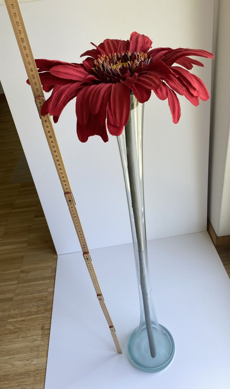 Piante & sementi: Grosse Gerbera XL - Dekoration – Usato da Kilchberg ZH venduto da Tali_1 3