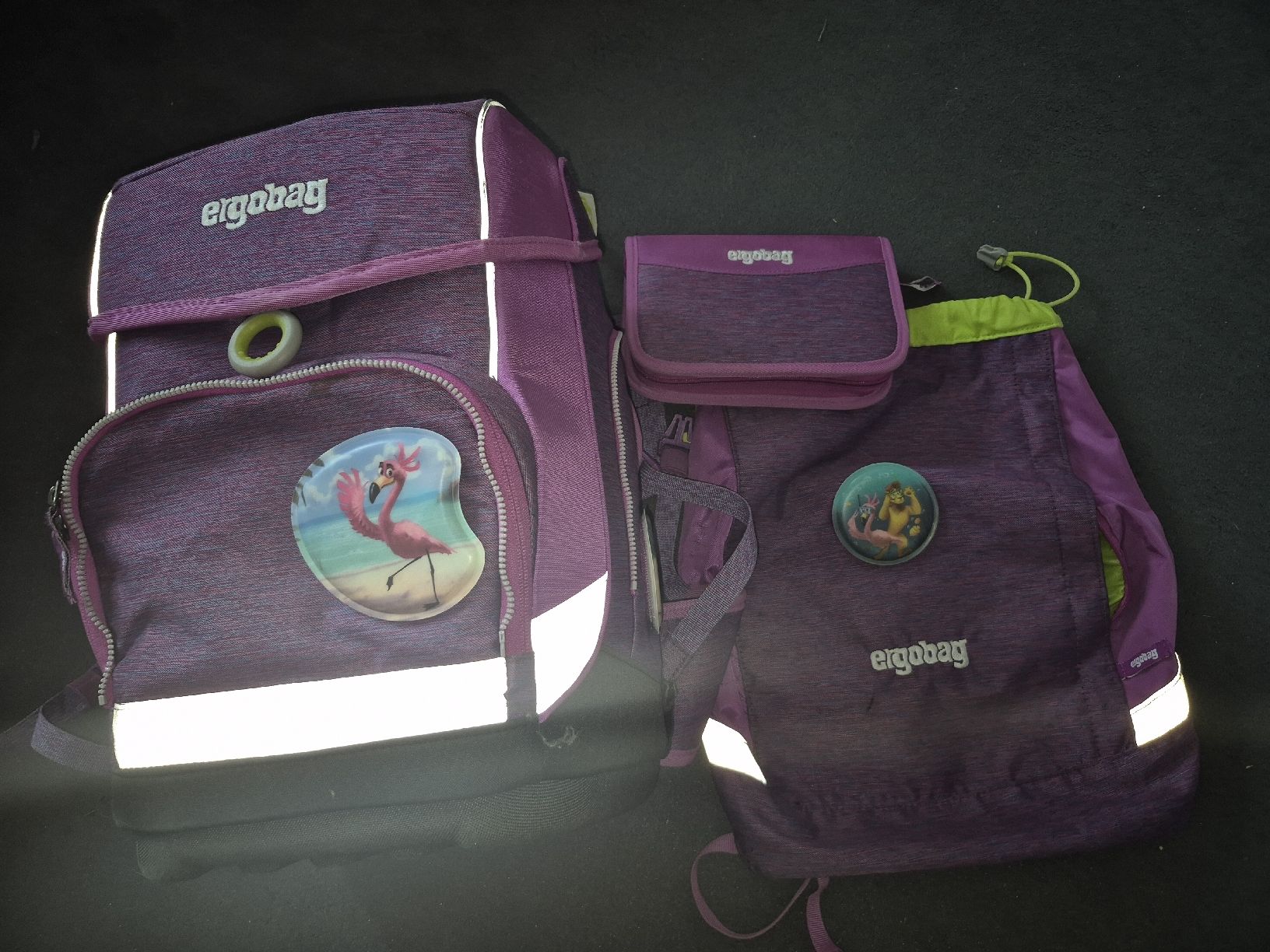 Ergobag Borse & Zaini: Ergobag Schulrucksack Set lila  – Usato da Goldau venduto da Neocity 2