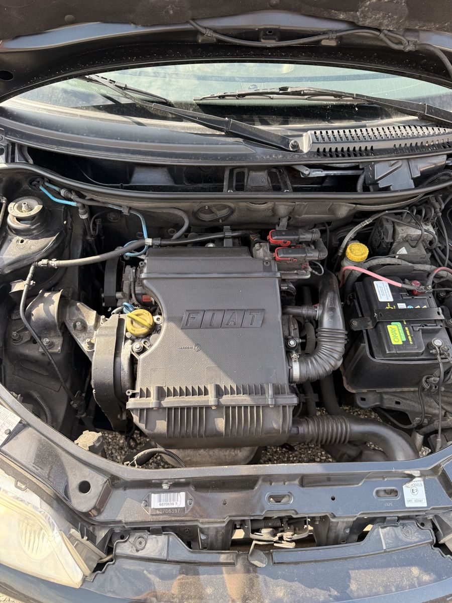 Fiat Automobili: Fiat Punto 1.4 Benzin – Usato da Höchstetten venduto da gk28 3