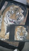 Bettwäsche Bettanzug 150 x 200 inkl Kissen