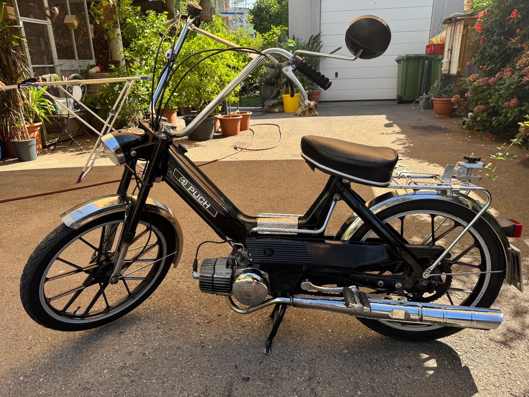 Puch Mofas: Maxi Puch N – Gebraucht aus Widnau von tgossi 4