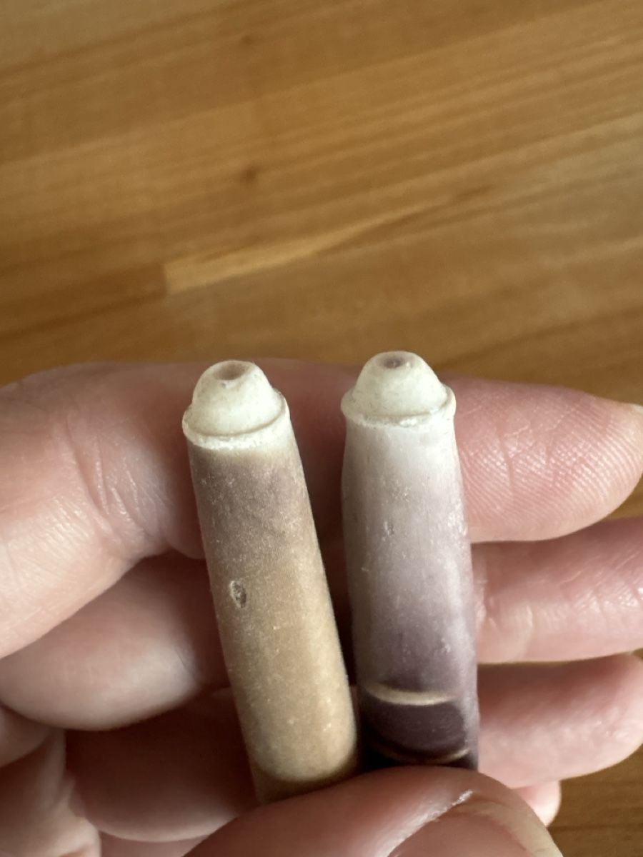 Tutte le decorazioni: 2 Bohrmuscheln / Deko – Usato da Rümlang venduto da Fledermaus35 2