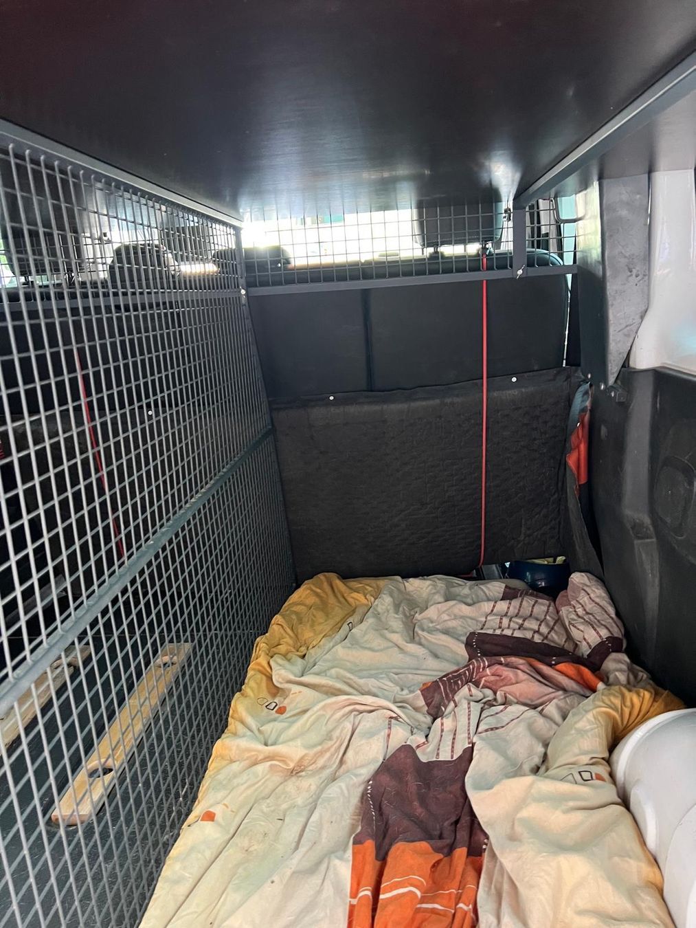 Gabbie, trasporto & Sicurezza: Hundegitter Hundebox Lieferwagen – Usato da Vallamand venduto da Germara 6