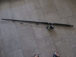 Hechtrute  Shakespeare 2,7 m