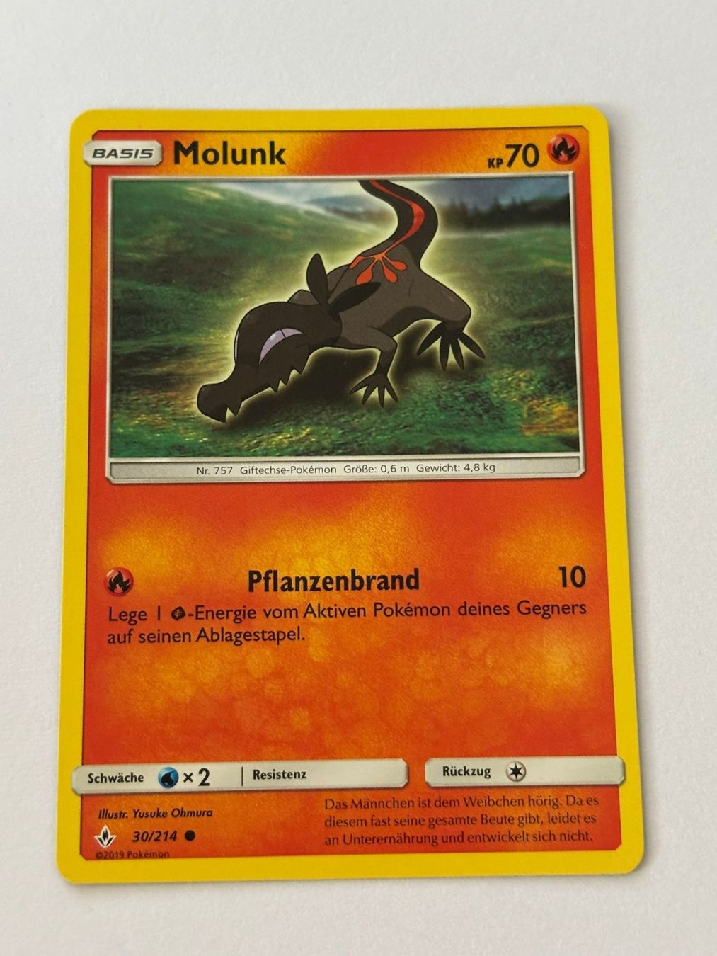 Pokémon Carte collezionabili: Pokemon-Karte Molunk 30/214 – Usato da Herisau venduto da Seyashop1