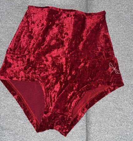 Dragonfly Pole Shorts high waist rot samt