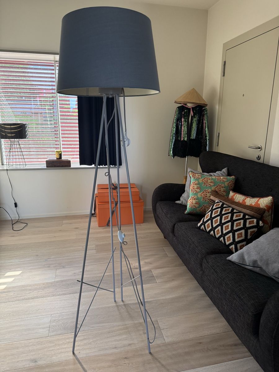 Lampade: Blue shade standing lamp - ray floor lamp – Usato da Zürich venduto da EShopping81 1