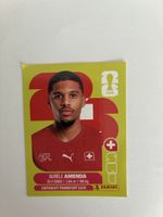 NEU panini SUI 7 Amenda