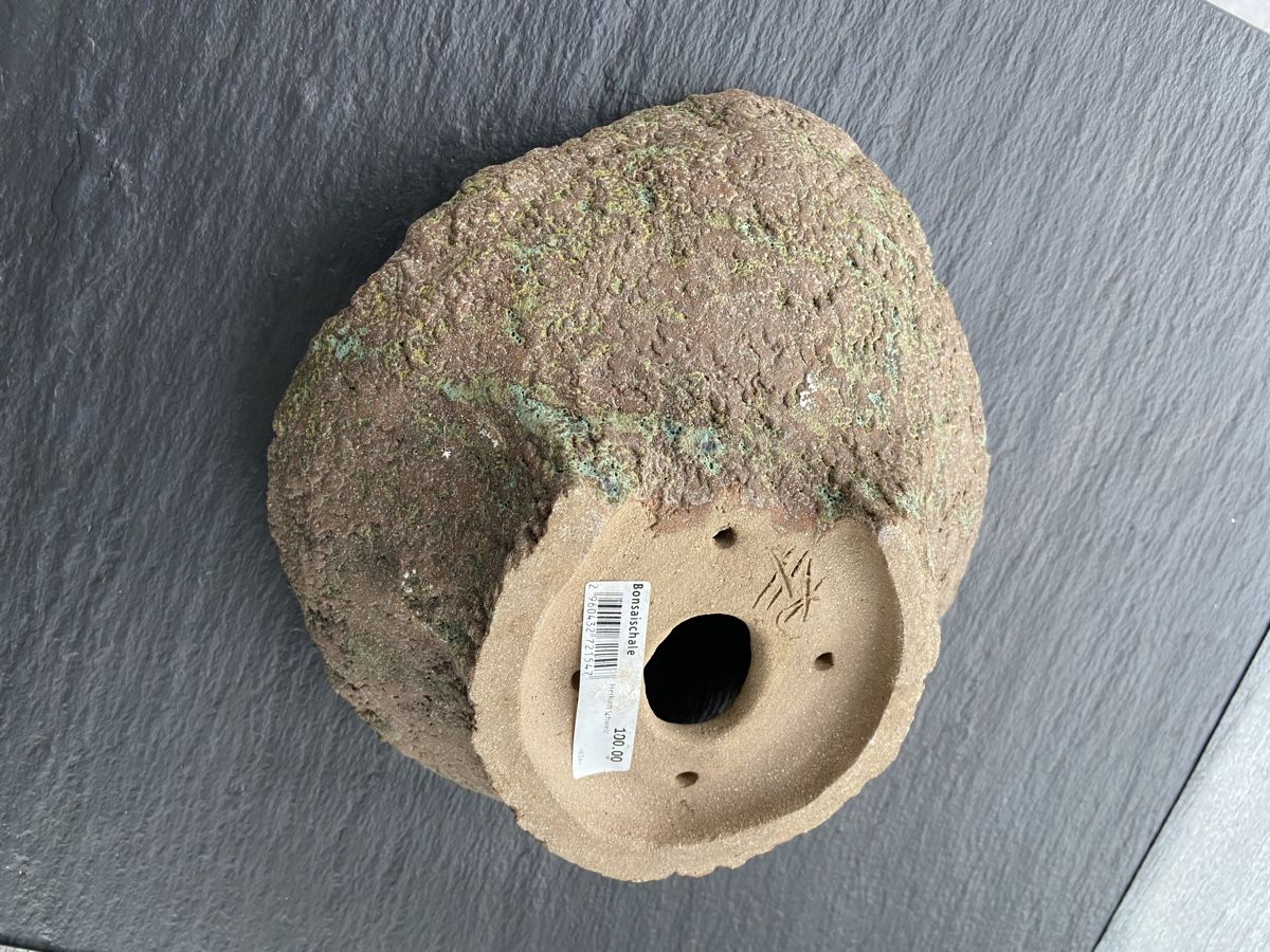 Blumentöpfe: Bonsaischale handmade Schweiz – Neu (gemäss Beschreibung) aus Glattfelden von Gid0 6