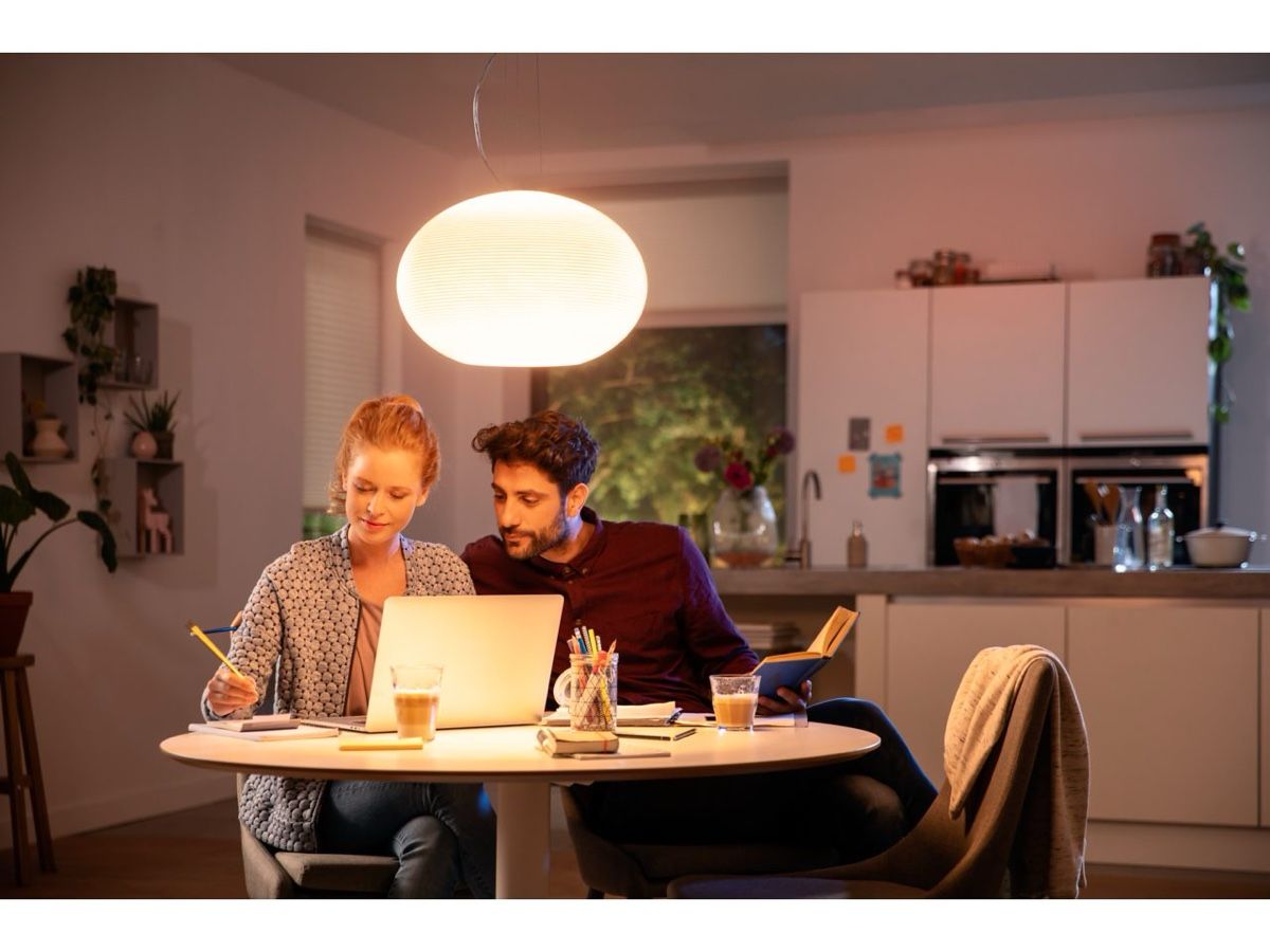 Philips Lampadari & plafoniere: Philips Hue Flourish Pendelleuchte – Nuovo e nell'imballaggio originale da Strengelbach venduto da retourenjaeger 1
