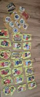 220 sticker fifa panini world cup 2026