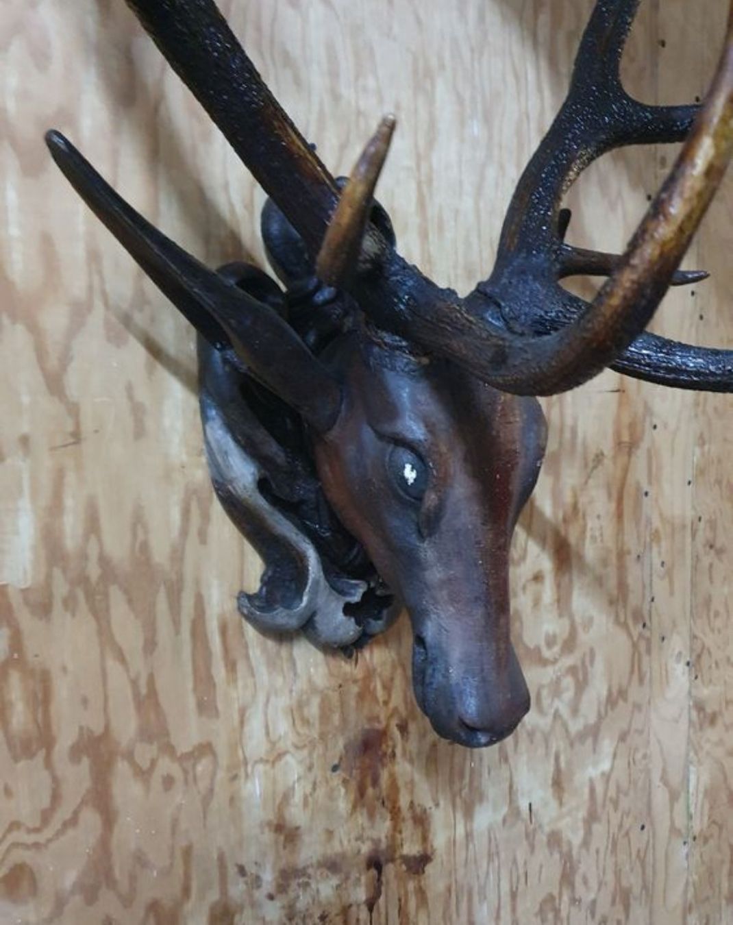 Sculture & Statue: skulptur antik hirsch – Usato da Schwellbrunn venduto da Omega-alpha 1