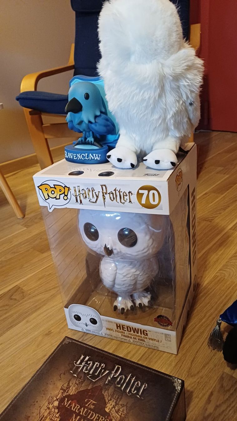 Alle Dekorationen: Lot d'objets Harry Potter – Gebraucht aus Bex von Armen01 5