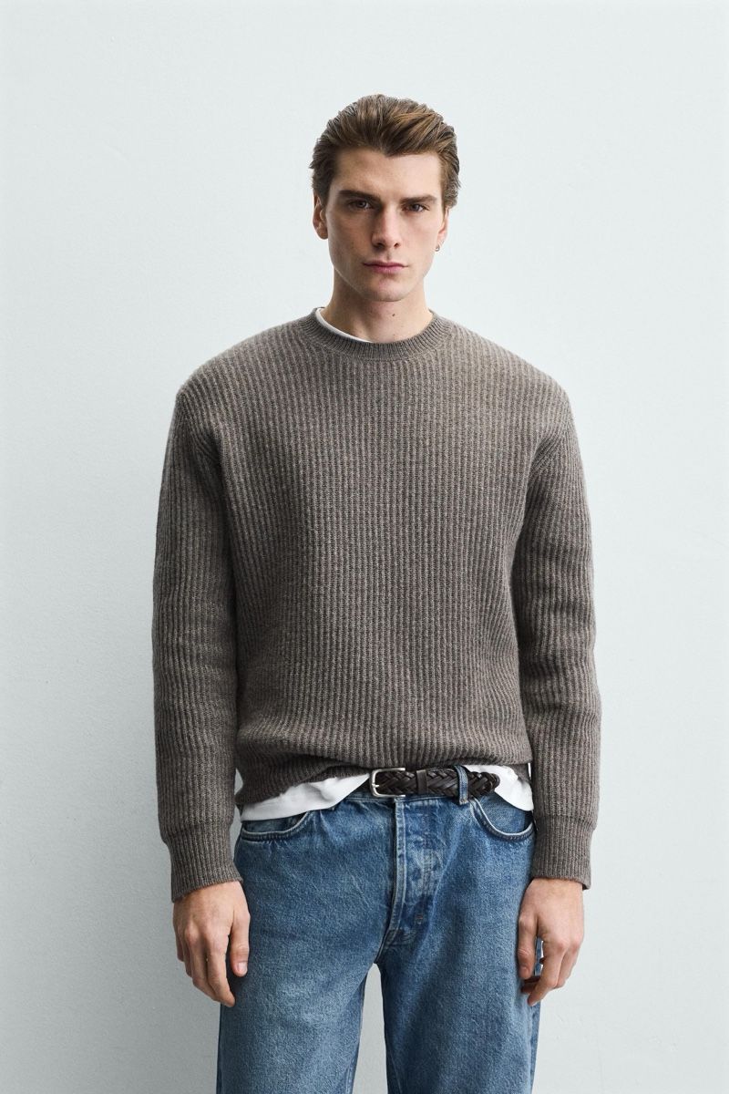 Zara Maglioni & Felpe: Zara Man Pullover (Gr. L) – Nuovo (secondo la descrizione) da Fällanden venduto da Pilli91