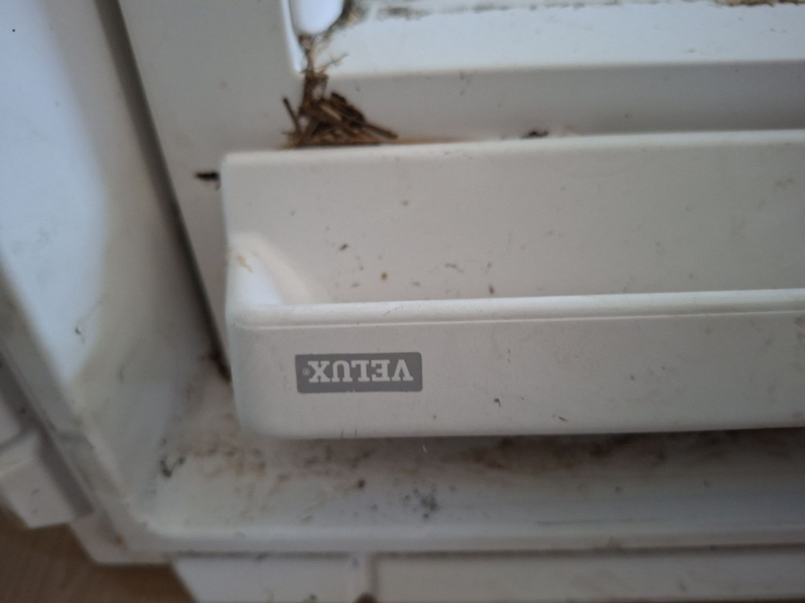 Fenêtres: Velux Dachfenster – D'occasion à Filzbach par Ariane_SR71 6