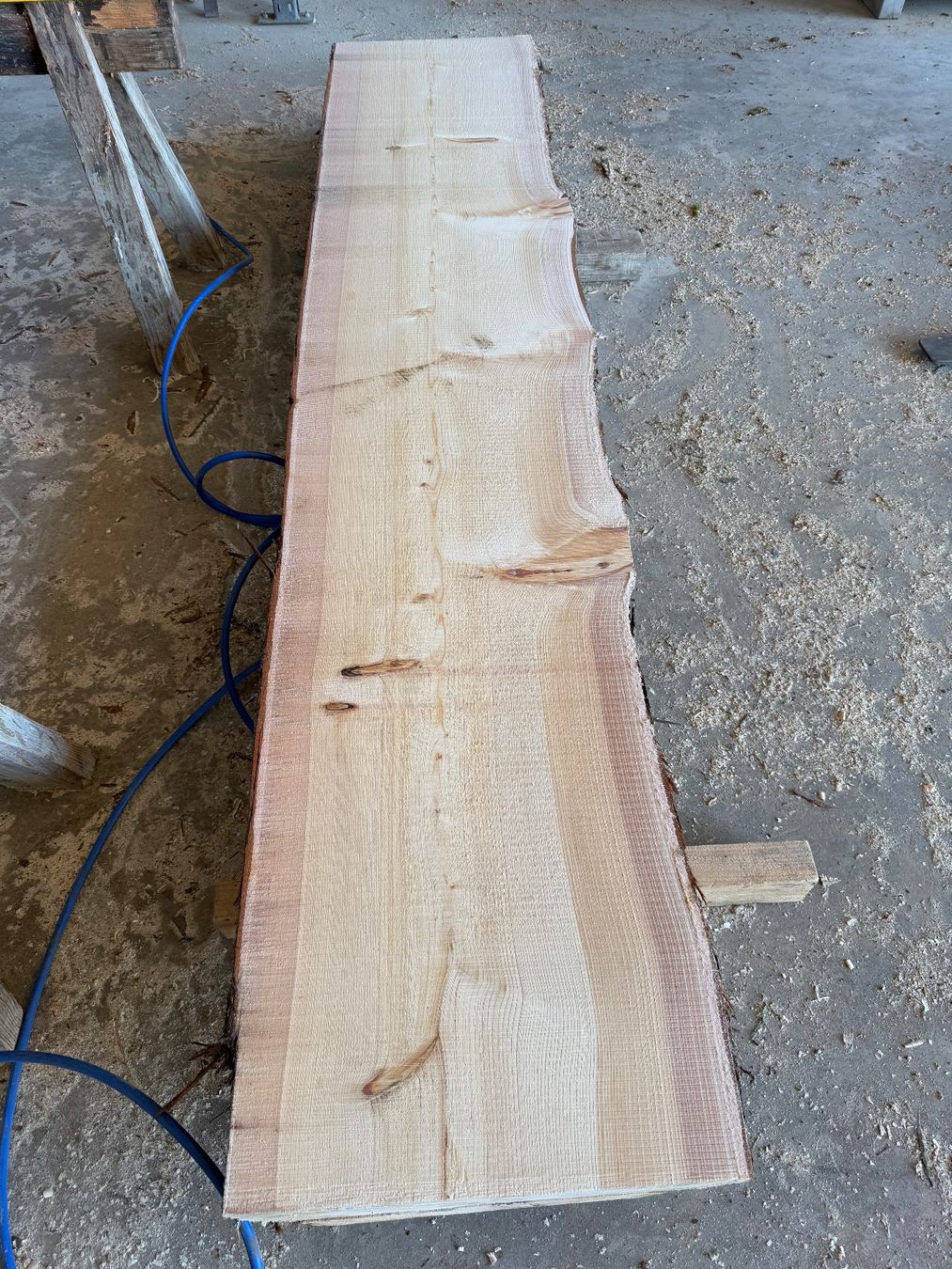 Articoli in legno: Thuja klotzbretter ganzer Stamm – Usato da Holziken venduto da Timbergrizzly 2