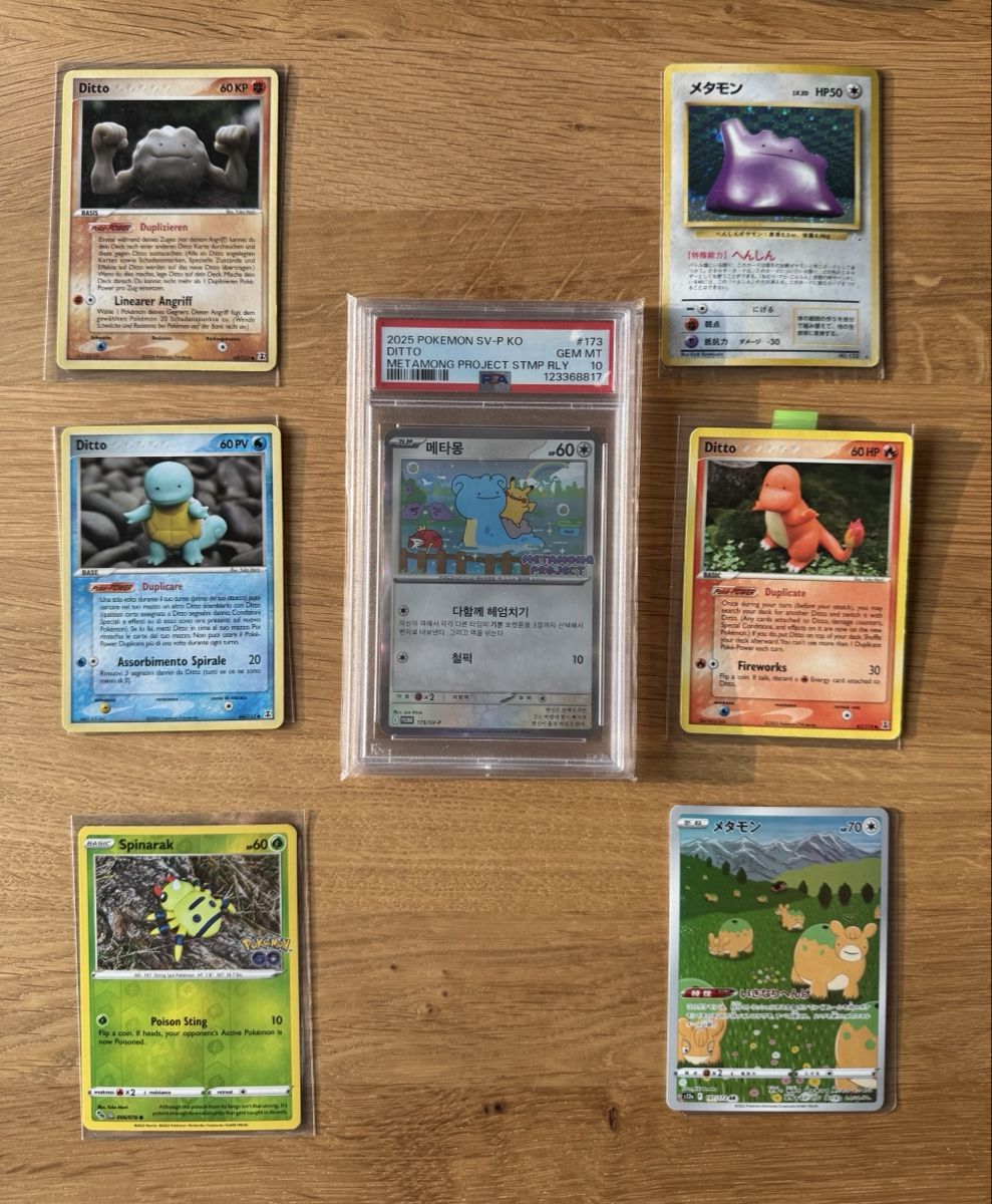 Pokémon Sammelbilder & Trading cards: Pokemon Ditto Sammlung /PSA 10 – Gebraucht aus Zeiningen von flo_8cxw