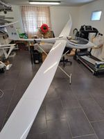 ASG-29 DE PARITECH 6 METRES