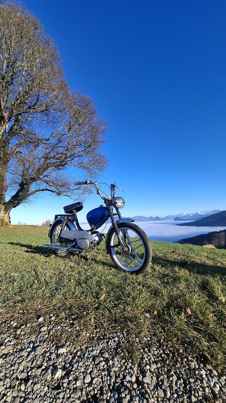 Sachs Ciclomotori: Sachs 503 ABL CH – Usato da Luzern venduto da Tim10 3