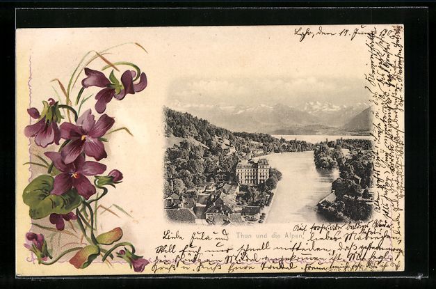 Cartoline postali: Thun, Uferpartie und die Alpen, Blumen – Usato da Berlin venduto da bartko-reher