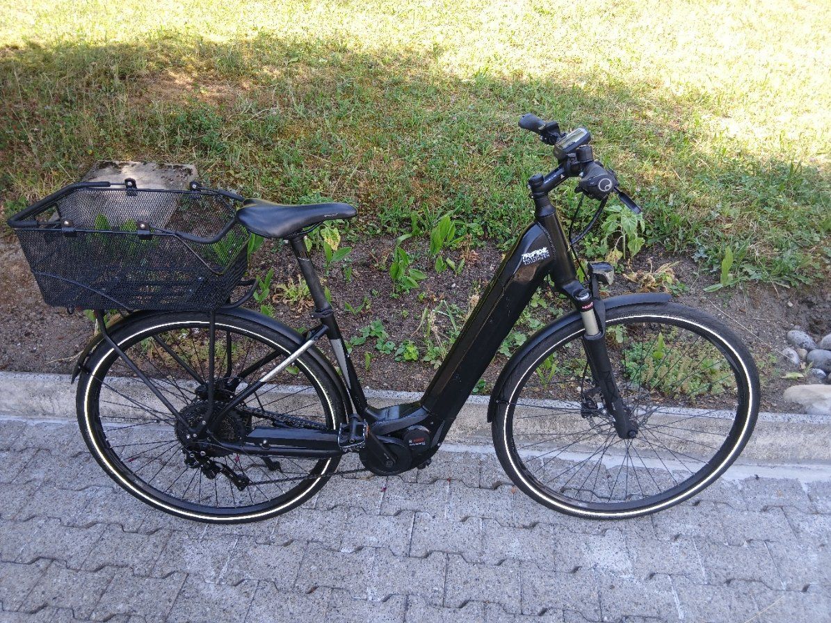 Velos: Bulls  Evo Trekking E-Bike Damen – Gebraucht aus Lengnau BE von SimSinNemo87