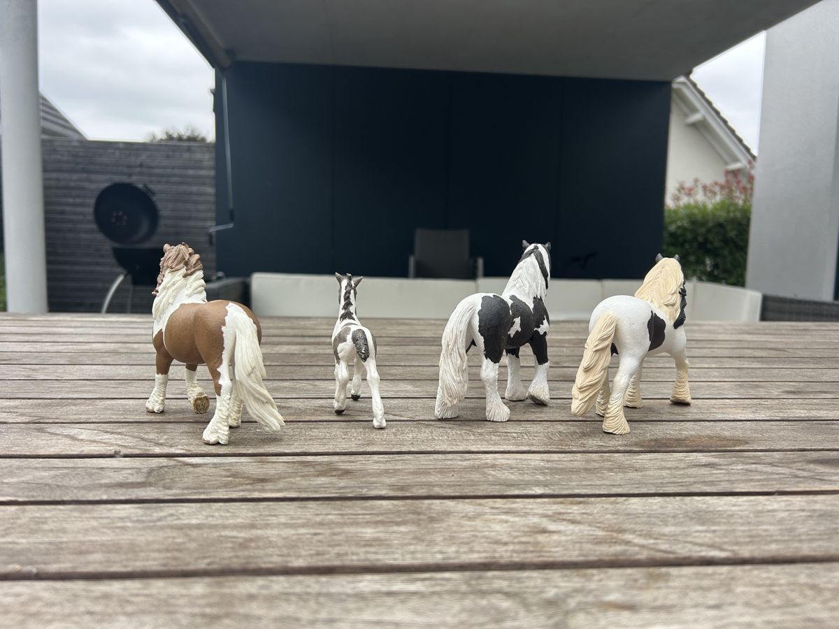 Schleich Jouets: Schleich Pferde, Tinker – D'occasion à Mägenwil par Australia19 3