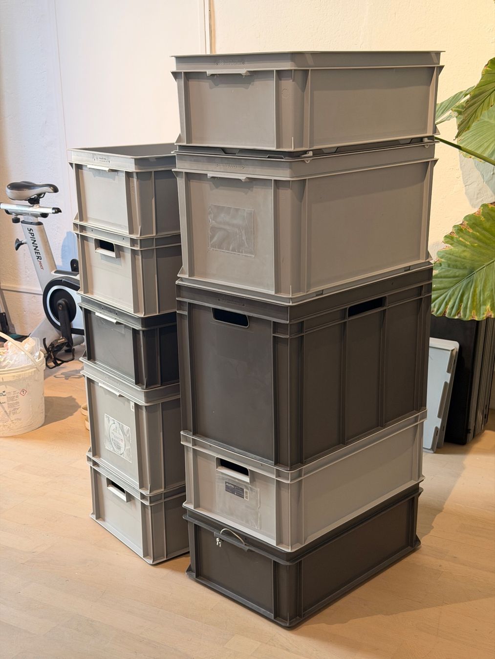 Transportkisten: diverse Rako & Utz Boxen – Gebraucht aus Küsnacht ZH von Icon21 1