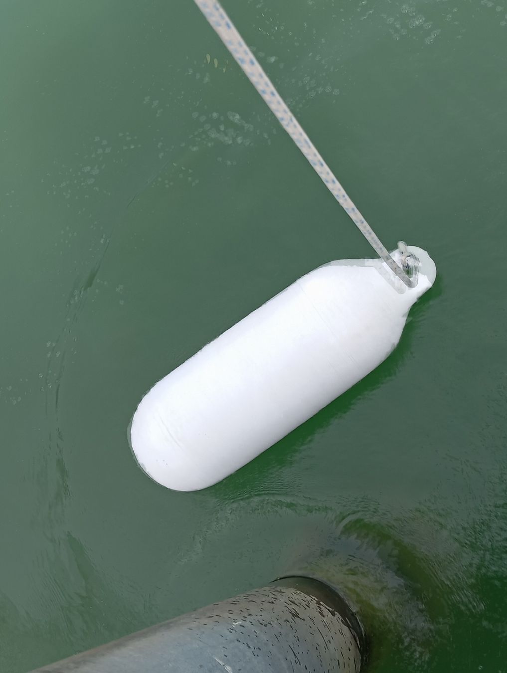 Salvagente: Fender Bootsfender SEALINE 60cm – Usato da Buttikon SZ venduto da Renco 1