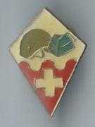 Infanterie Offiziersabzeichen, Pin