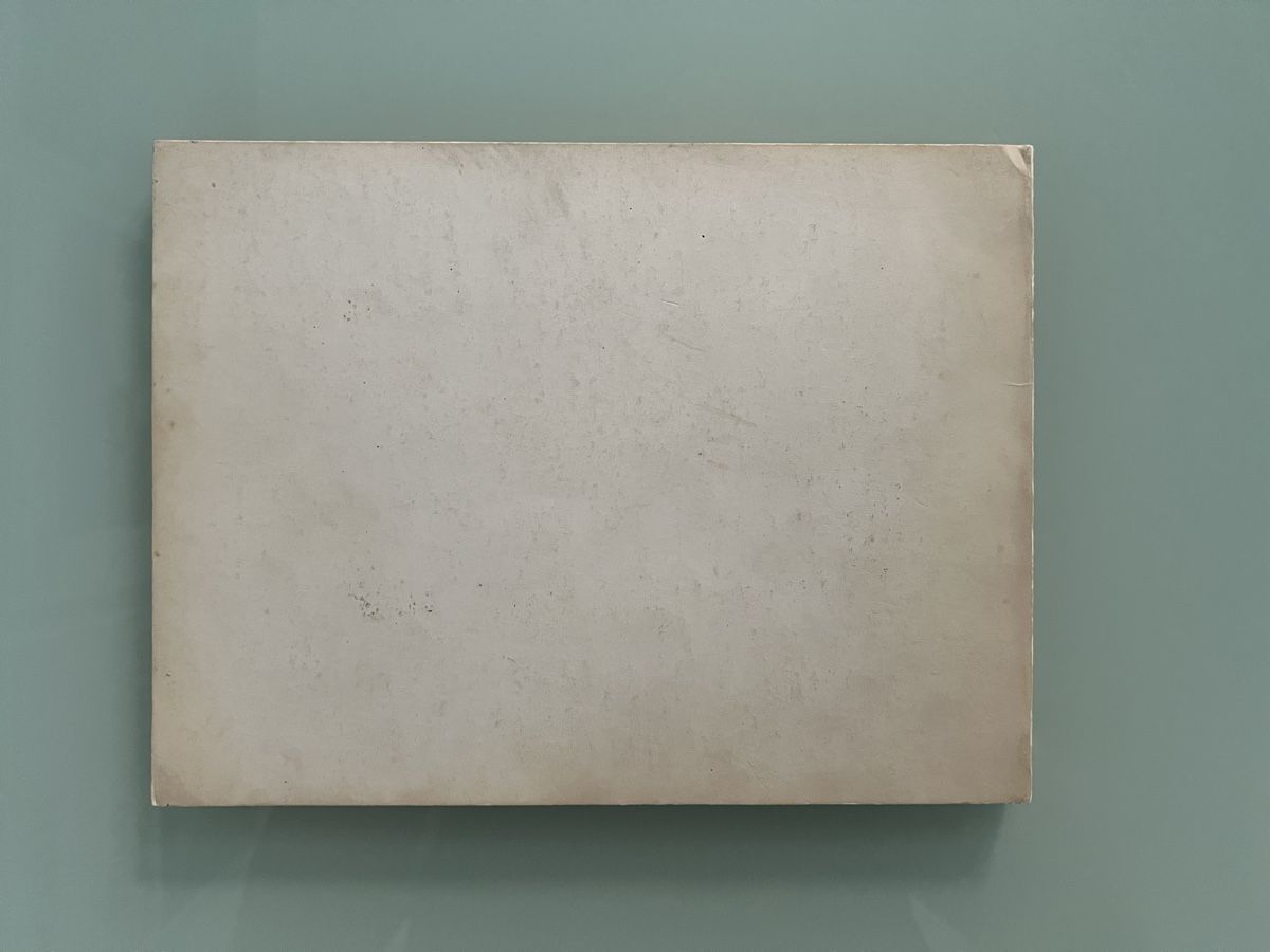 Libri: Barnett Newman Stedelijk – Usato da Renens VD venduto da ale_q6bz 1