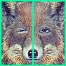 Profile image of Parickf