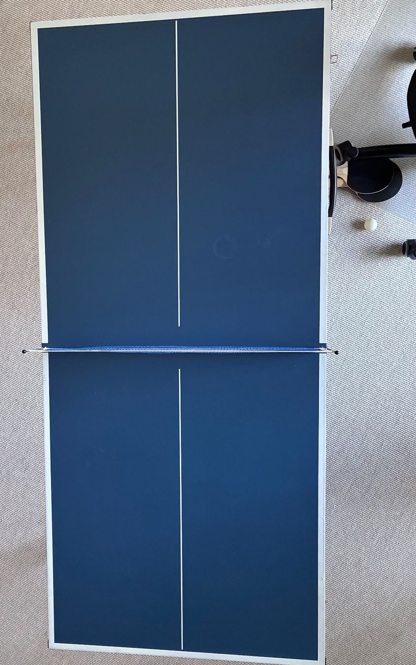 Tennis da tavolo: Mini-Tischtennisplatte 150cm x 67cm – Usato da Winterthur venduto da DanSlider 2