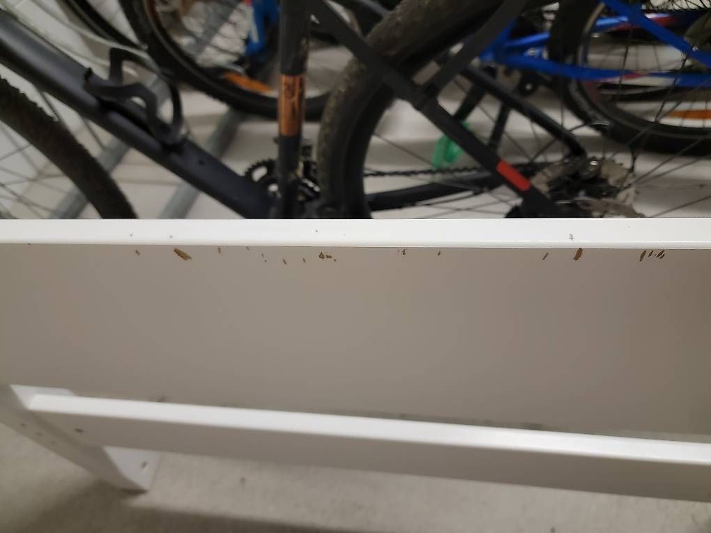 Betten: Flexa White Kinderbett – Gebraucht aus Niederweningen von robert-meffert 2