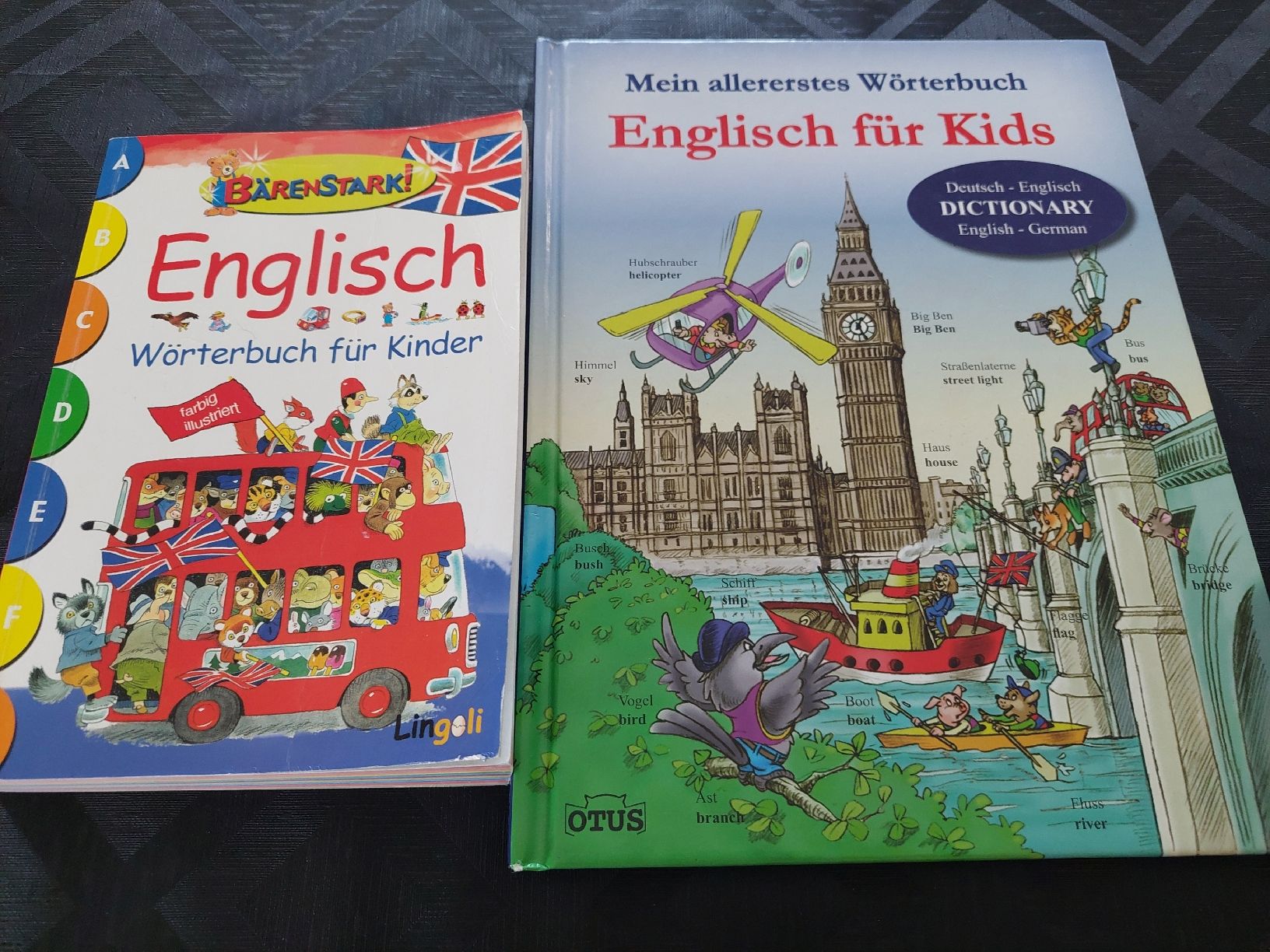 Libri: 2  Wörterbücher E/D  für Kinder – Usato da Zetzwil venduto da lanst08
