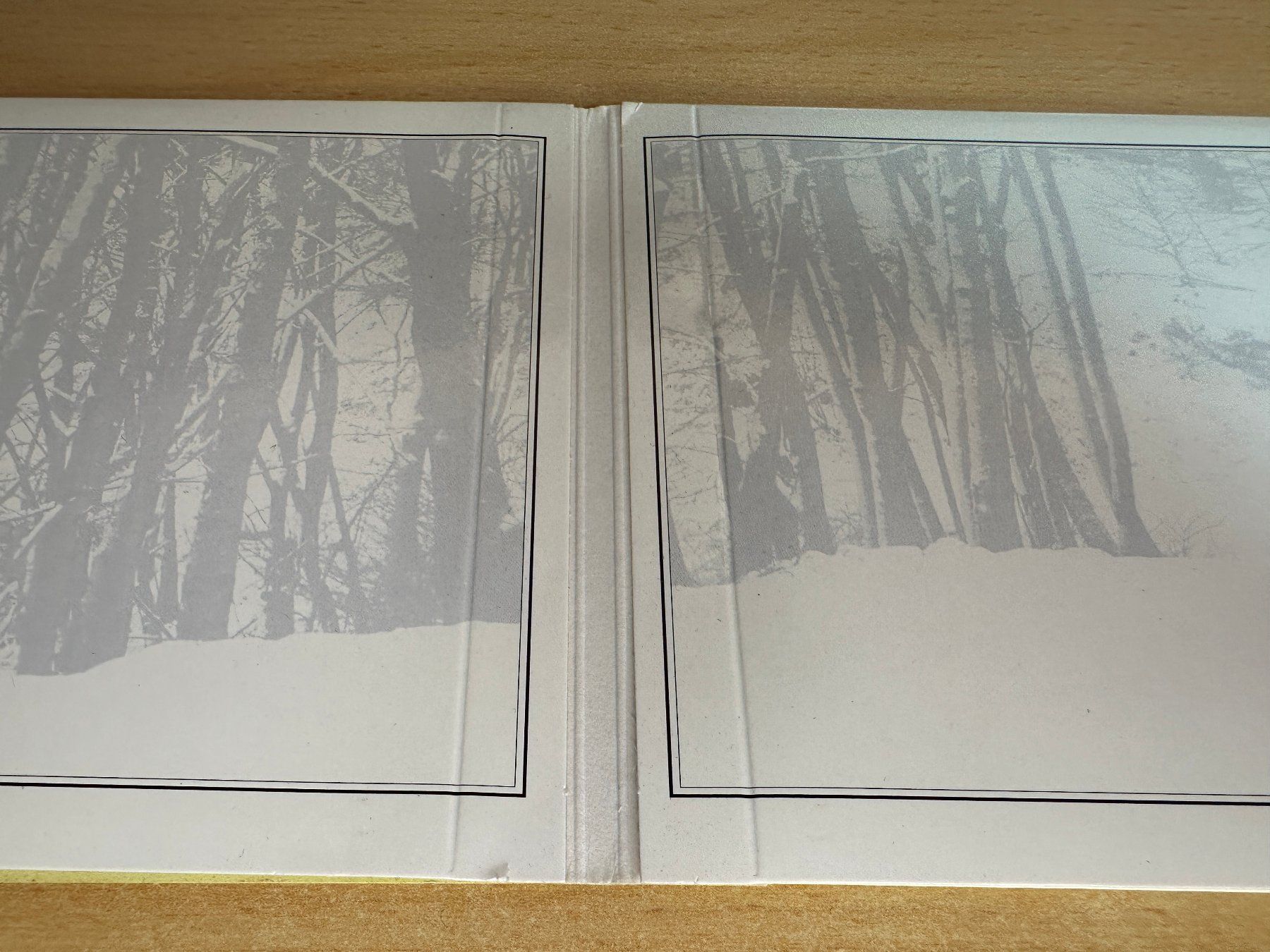CD: Sting – If On A Winter's Night... – Usato da Rikon im Tösstal venduto da Alpenmutz 2